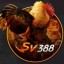 JewelLockyer64243